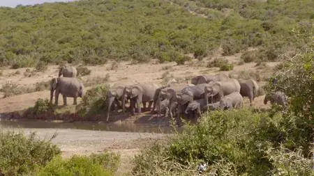 Smithsonian Earth - Great Parks of Africa: Series 1 (2017)