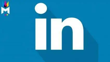 LinkedIn Business Marketing: Professional Profiles & Company Pages