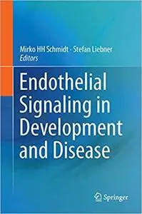 Endothelial Signaling in Development and Disease (Repost)