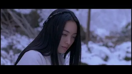 Shinobi: Heart Under Blade (2005)