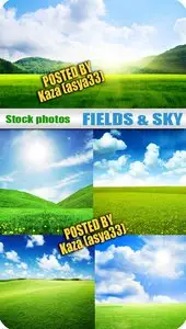 Green fields & sky