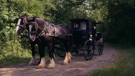 Dickinson S03E09