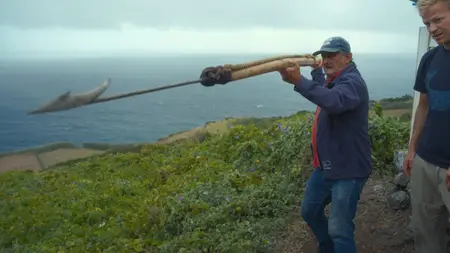 Dolphins Up Close with Bertie Gregory (2025)