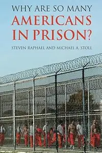 Why Are So Many Americans in Prison?