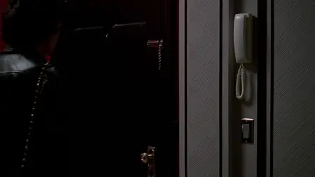 Bound (1996)