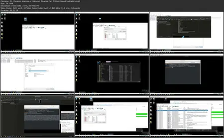 Practical Malware Analysis & Triage