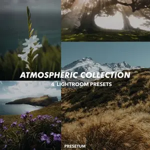 Atmospheric Bundle - Mobile Lightroom Presets