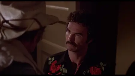 Smokey and the Bandit II (1980)