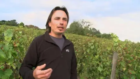 Wine the Green Revolution (2012)