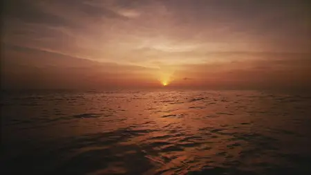 IMAX Deep Sea (2006)