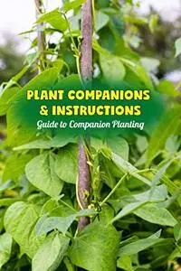 Plant Companions & Instructions: Guide to Companion Planting: Combinations Planting