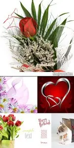 Congratulation