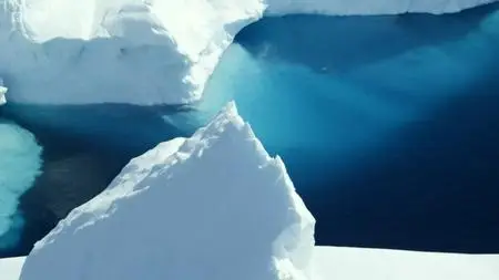 BBC - Deep Ocean: Giants of the Antarctic Deep (2020)