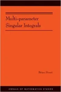 Multi-parameter Singular Integrals