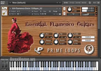 Prime Loops Essential Flamenco Guitars NKI WAV
