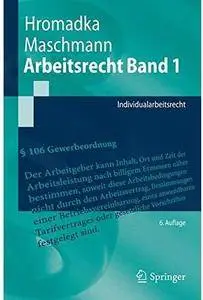 Arbeitsrecht. Band 1: Individualarbeitsrecht (Auflage: 6)