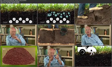 Vegetable Gardening: Smart Techniques for Plentiful Results