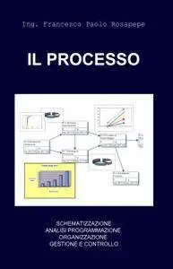 IL PROCESSO