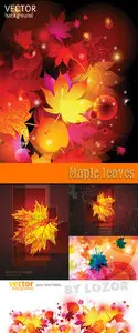 Maple leaves