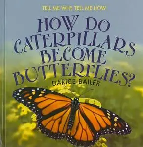 How Do Caterpillars Become Butterflies? (repost)