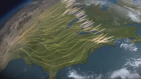 National Geographic: Great Migrations [6 series] /  National Geographic: Великие миграции [6 серий] (2010) [Repost]