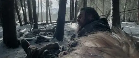 The Revenant (2015)