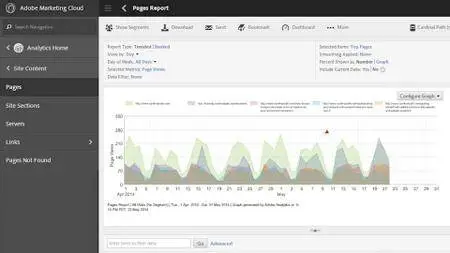 Learning Adobe Reports and Analytics