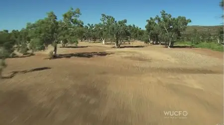 NOVA S40E16 - Australia’s First 4 Billion Years: Life Explodes (2013)