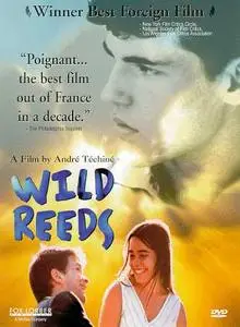 Drame (André TECHINE) Les roseaux sauvages [DVDrip]