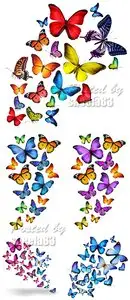 Stock Photo - Color Butterflies