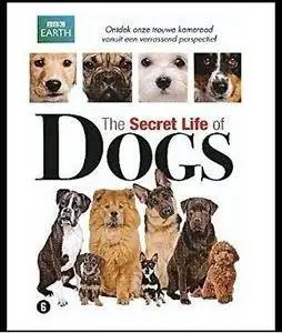 Secret Life of Dogs (2013)