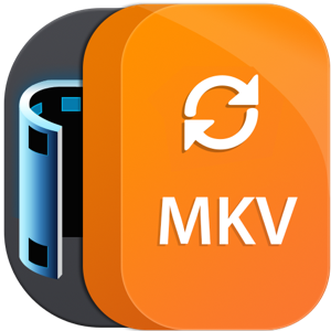 Aiseesoft MKV Converter 9.2.22