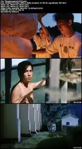 Three Summers (1993)