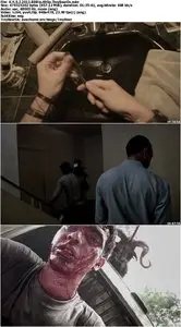 V.H.S. 2 (2013)