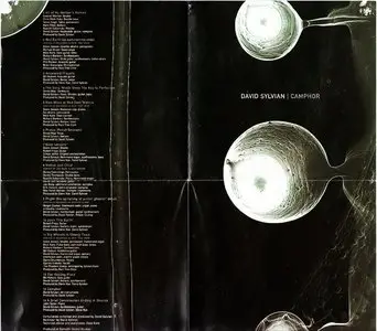 David Sylvian - Camphor (2002) {2CD Set Virgin Records Limited Edition CDVEX962}
