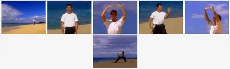 5 Day Fit Chi - Tai Chi & Qigong (2010)