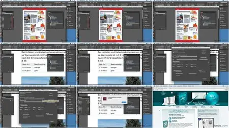 Video2Brain - Highspeed InDesign