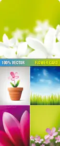 Stock Vector - Flower Card