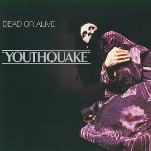 Dead Or Alive - Albums Collection 1984-1999 [13CD]