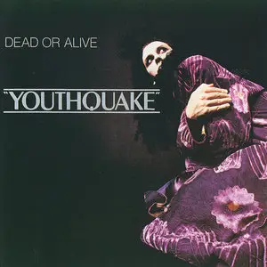 Dead Or Alive - Albums Collection 1984-1999 (13CD)