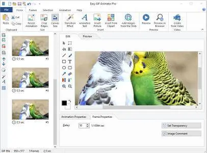 Easy Gif Animator Professional/Personal 7.0.0.57 Multilingual