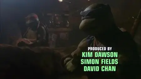 Teenage Mutant Ninja Turtles (1990)