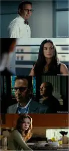 Mr. Brooks - DVDRip Español Latino