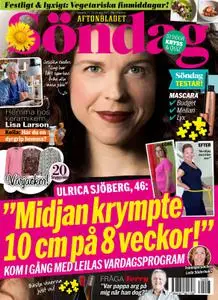 Aftonbladet Söndag – 23 april 2017