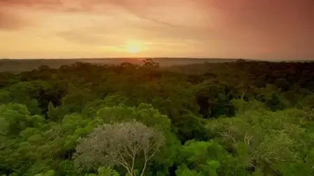 SBS - Wildest Latin America (2013)