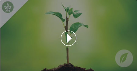 Coursera - What a Plant Knows