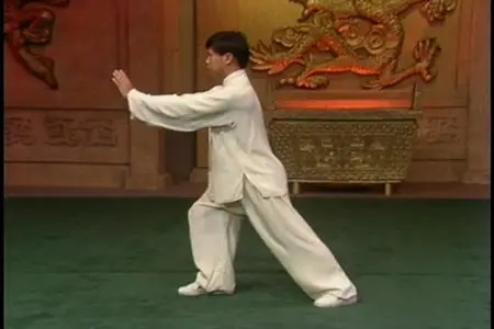 Tai Chi Yang Chen-Fu Form - Taught by Yang Zheng Duo