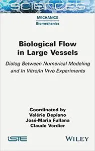 Biological Flow in Large Vessels: Dialog Between Numerical Modeling and In Vitro/In Vivo Experiments