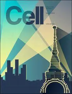 Cell - 19 May 2016