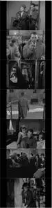 Le amiche (1955) [The Criterion Collection]